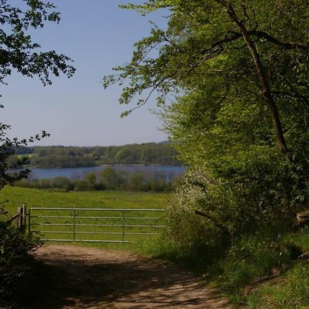 Fewo Am See 15A Klein Wittensee Zewnętrze zdjęcie