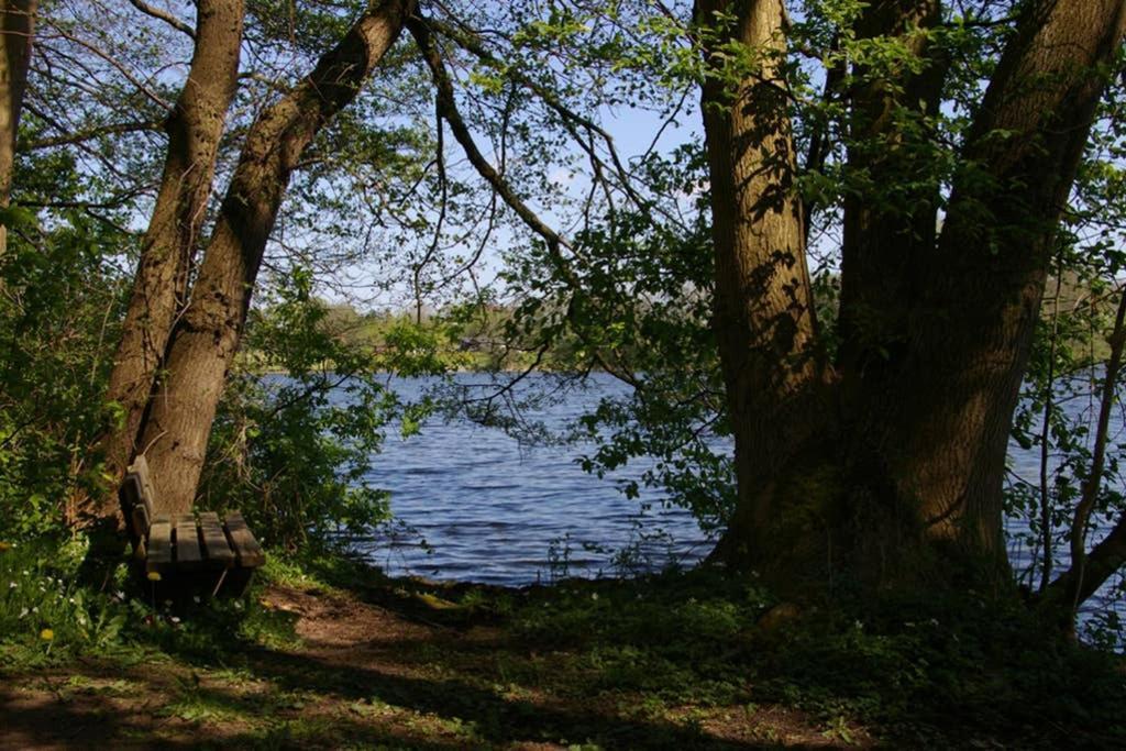 Fewo Am See 15A Klein Wittensee Zewnętrze zdjęcie